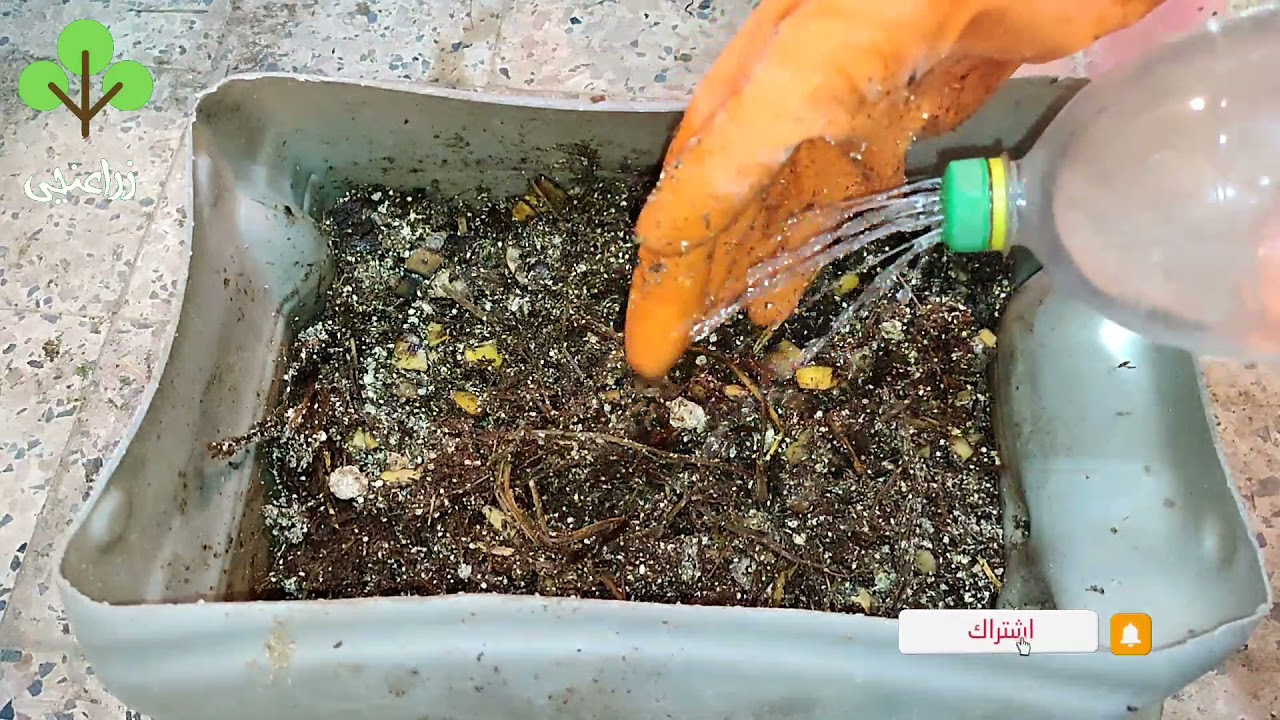 مخلفات حيوانية ونباتيه ومخلفات جافه وجبة متكامله لمزارع دود الكمبوست