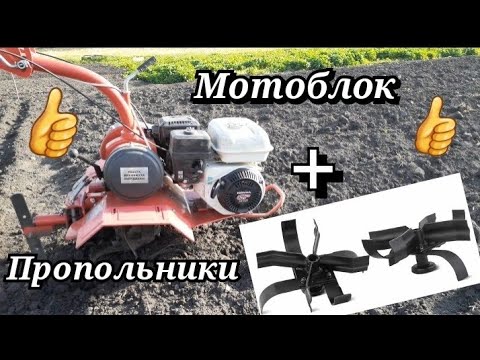 Первая прополка картофеля!