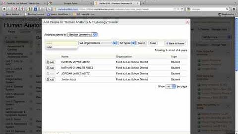 Adding Haiku Students