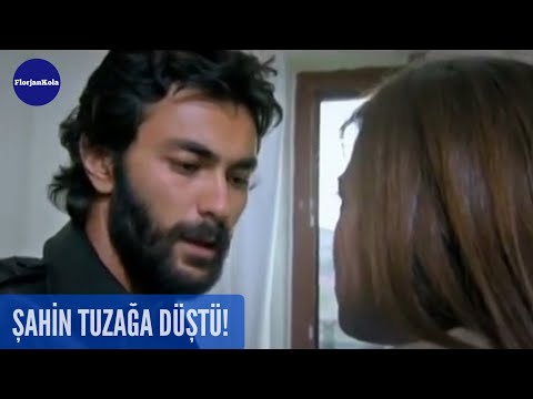 Şefkat Tepe | Şahin Tuzağa Düştü! | 117.Bölüm