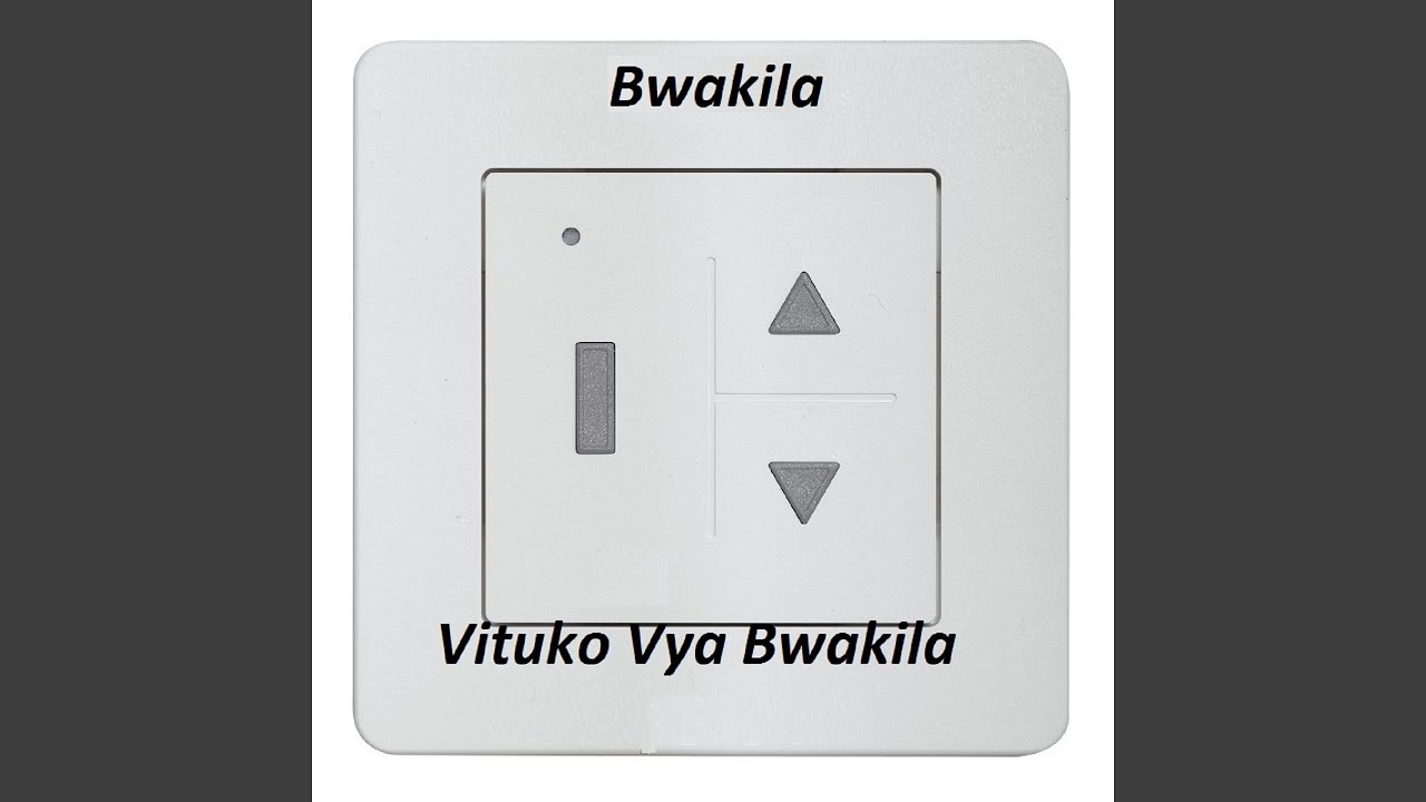 Bwakila na Mkude