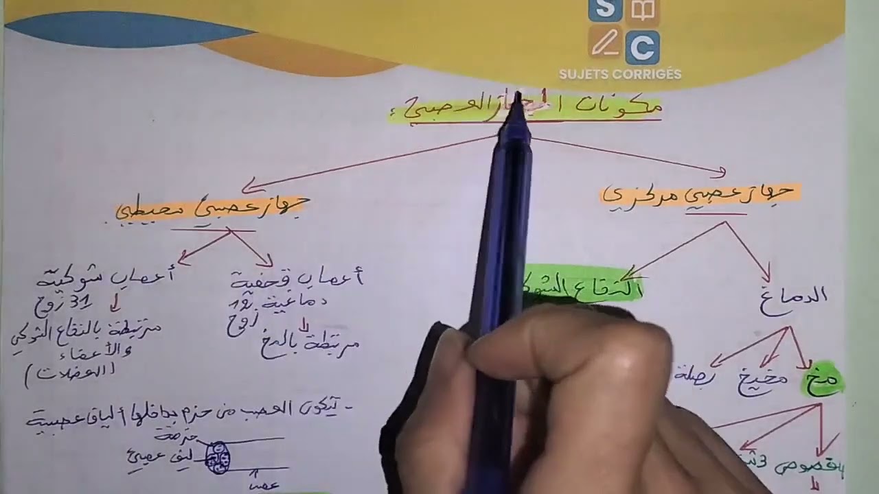 ملخص الفصل الثاني علوم  سنة رابعة متوسط الإتصال العصبي