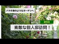 【素敵な個人邸訪問】バラが香る愛知県のお庭へ