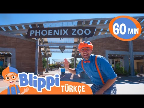 Blippi Bir Hayvanat Bahçesini Ziyaret Ediyor | Blippi Türkçe - Çocuklar için eğitici videolar