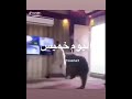 شيلة يوم الخميس mp3