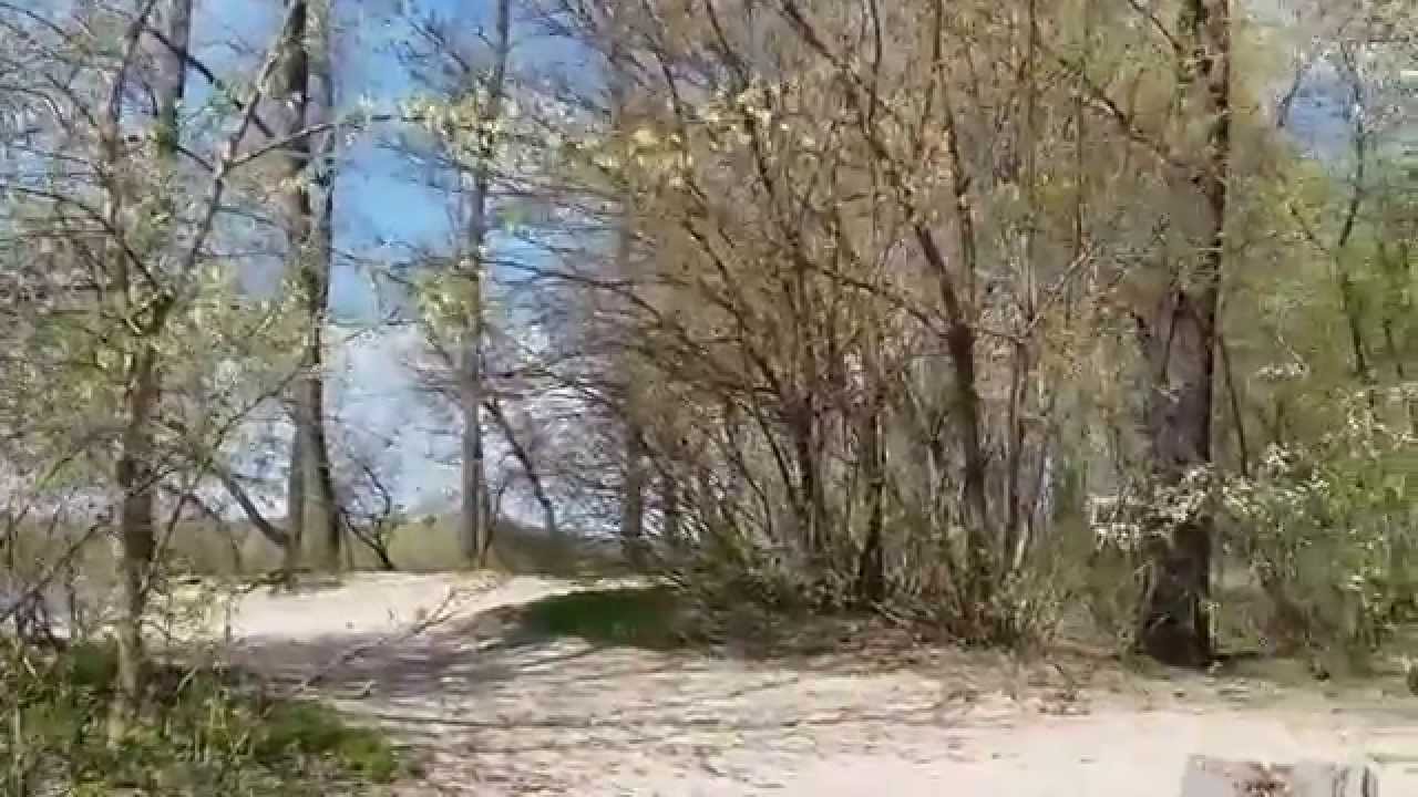 Нудистки киев гидропарк