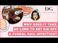 Why does it take so long for a fungal toenail infection to go away?