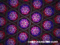 月天心/一青窈 covered by 大槻ゆい 映像/不動貴雄