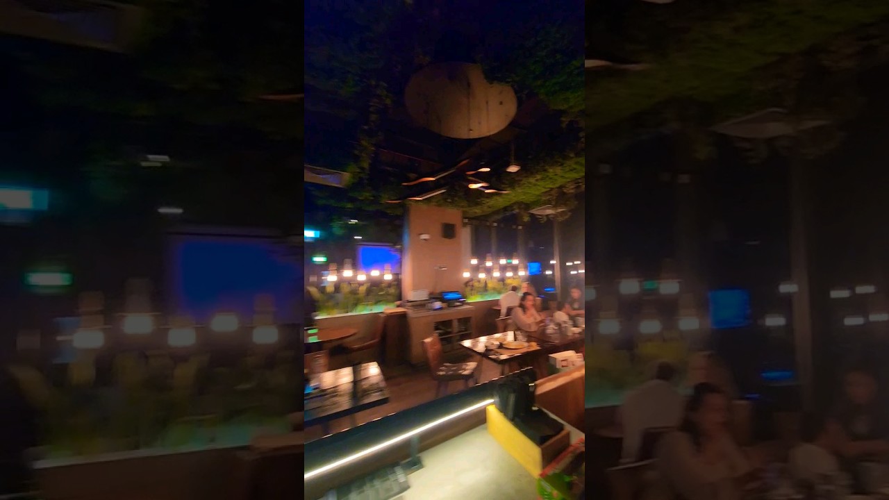 night out at Joe's backyard 