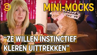 Een Hele Kattige Burlesque Show | Mini-Mocks