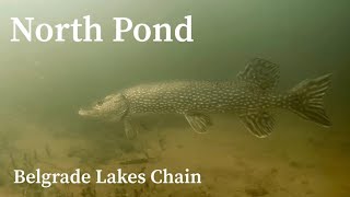 Underwater Drone Footage North Pond, Belgrade Lakes Chain