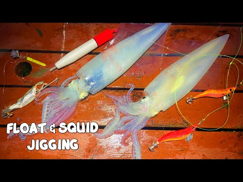 CATCHING SQUIDS MADE EASY - CATCHING SQUID TWO WAYS - JIG vs FLOAT 