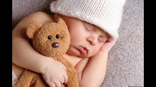 赤ちゃんが寝る音楽 ディズニーやさしいゆりかごオルゴールメドレー オルゴール 赤ちゃん Baby Sleep Music 子犬 子猫やかわいい小動物の癒し動画まとめ