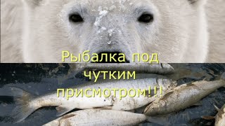 Самая опасная рыбалка в моей жизни!!!