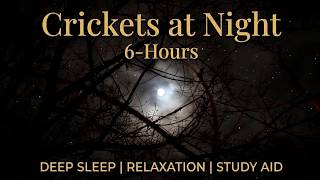 Crickets at Night | 6-Hours | Wind, Nature Sounds, Deep Sleep & Relaxation |