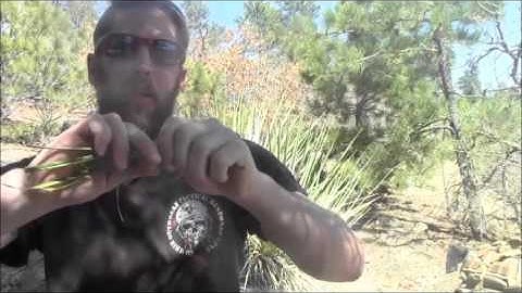 Primitive Cordage using the Narrow Leaf Yucca