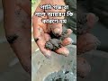 #foryou #automobile #plumber #waterpump #funny #plumbing #watersupply #vlog #plumping