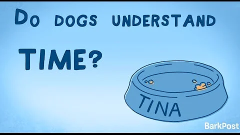 Do dogs keep track of time?