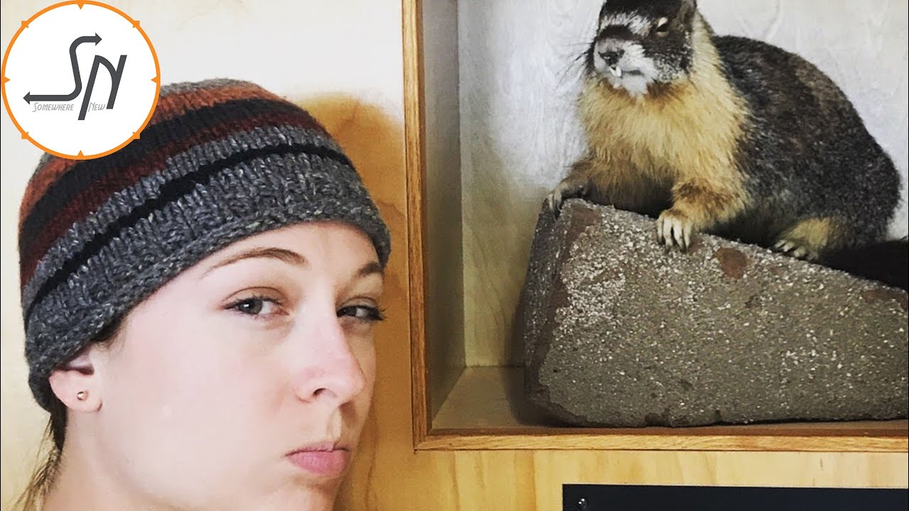 65Knots E2 - Lake Isabella