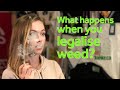 Canada legalised weed in 2018 - should Britain do it? | Newsbeat Documentaries