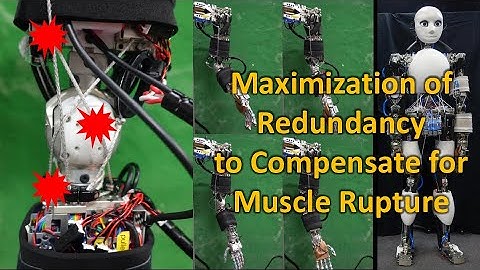 Maximization of Redundancy to Compensate for Muscle Rupture (IROS2021)