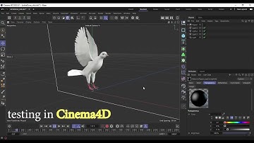 Realistic Animated White Dove Low-Poly 3d Model