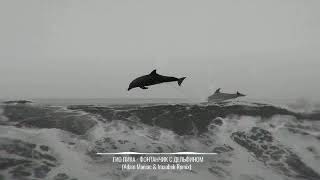 Гио Пика - черный дильфин