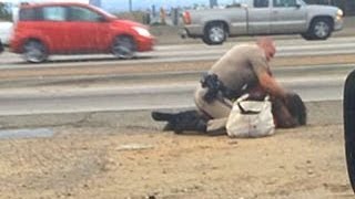 CHP officer under fire for beating woman on roadside