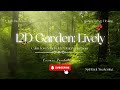 12D Garden Lively 💎 12D Diamond Codes 💎 Crystal Energy Healing, feeling LIVELY within minutes!