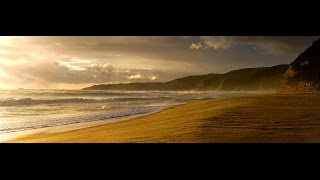 Video thumbnail of "The Karate Kid 1984 (HD) Bill Conti (Japanese Pan Flute) Relaxing Meditation Music"