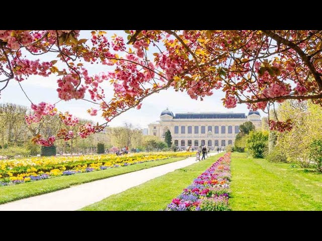 Traversée de Paris hivernale 2023 – Vincennes en Anciennes