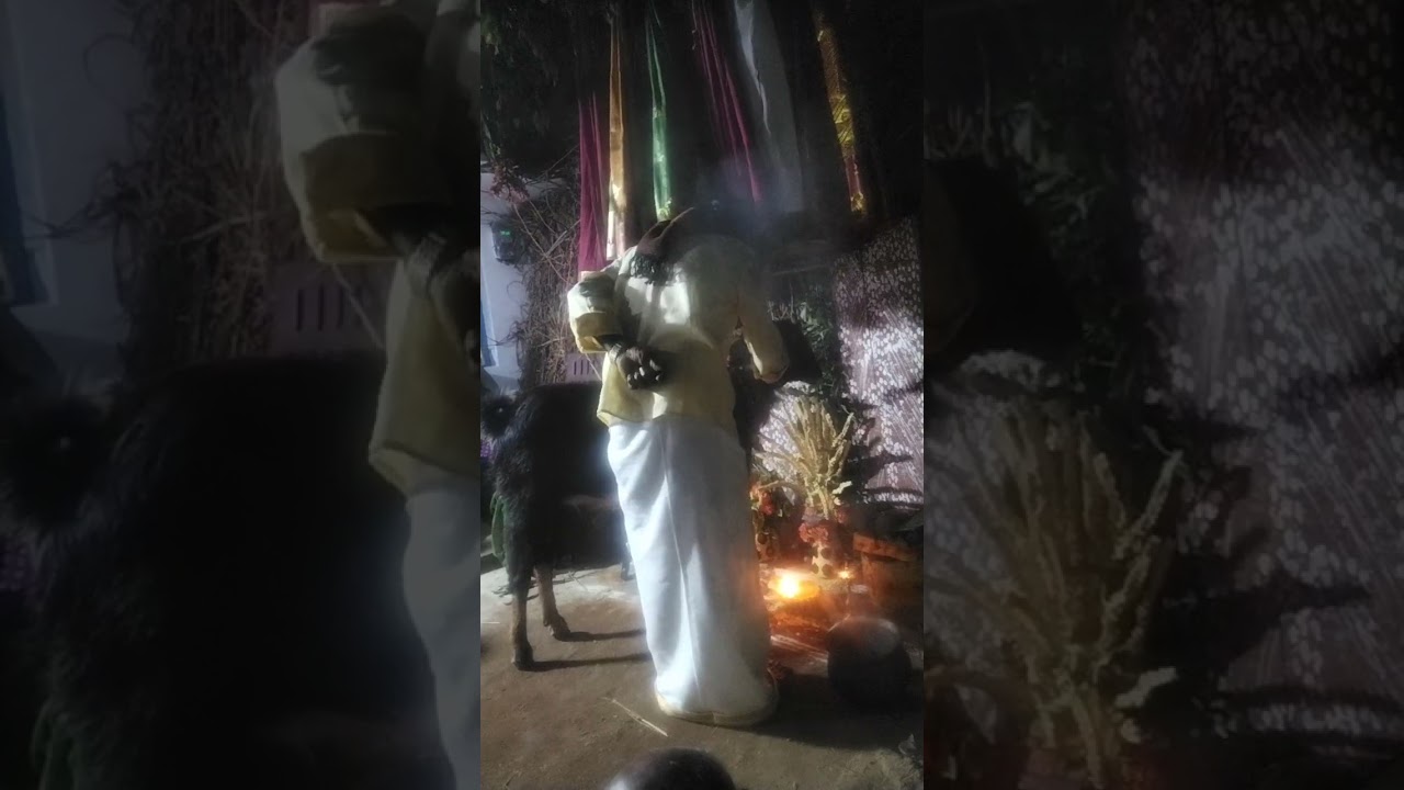 Taanni malleshu guruvu garu in kishtapuram gavu sambaram, 09-02-2026