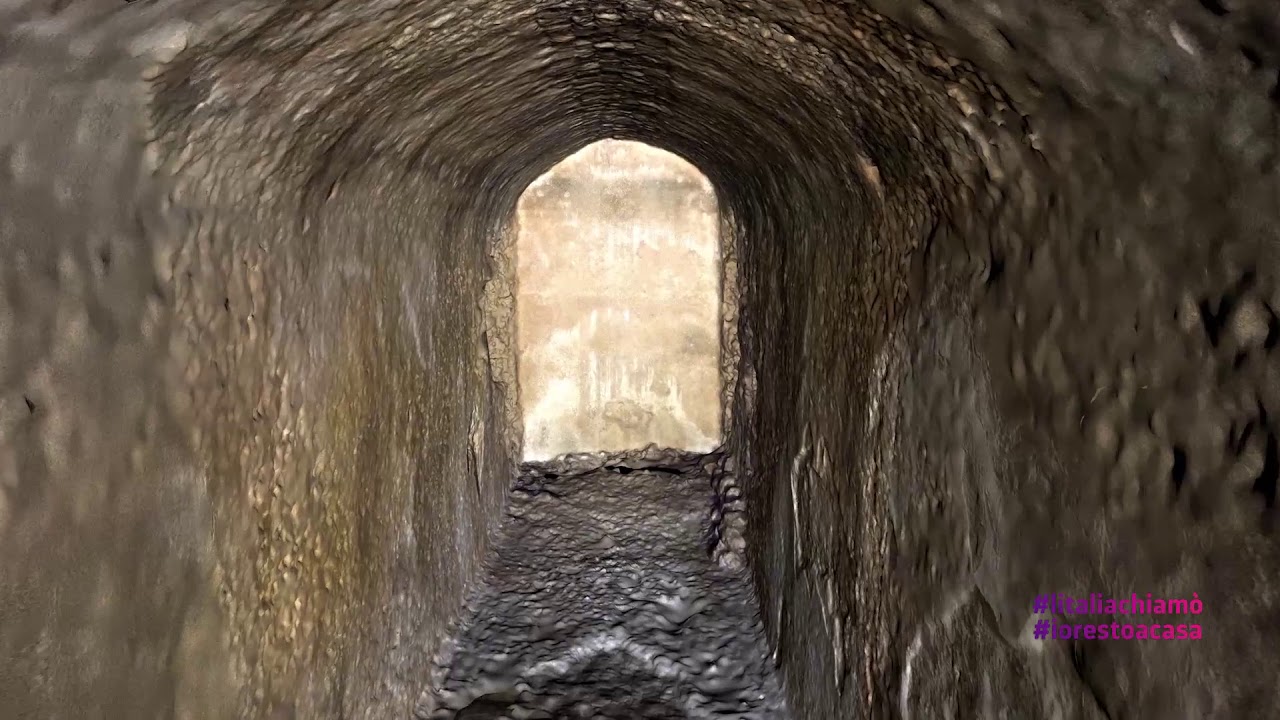 Direzione regionale musei Toscana, Museo archeologico nazionale di Cosa 