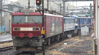 2024/03/12 【OM入場 廃車回送】 EF210-358 + EF65 2127 + EH500-50 大宮駅 【LED機】 | Japan Railways Locomos at Omiya