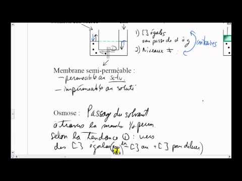 Vidéo: Quelle est la pression osmotique du sang ?