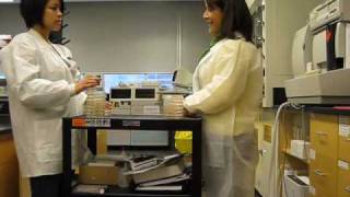 HLSC2030 The Pillow Method Assignment 2 MaraGoral CarolynTsang.wmv