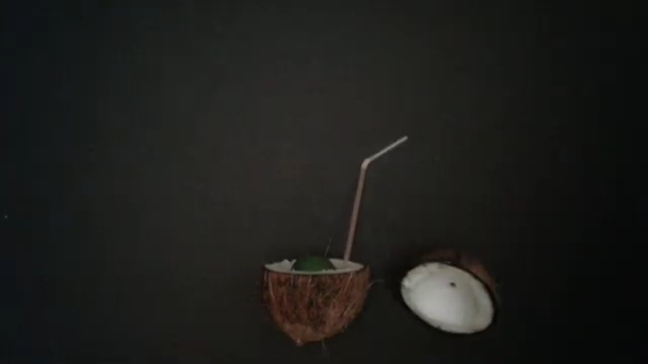 Lime in the Coconut YouTube