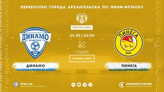 Live. Динамо - Пинега (24.05.2024)