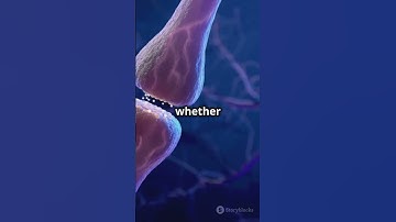 Understanding Neurotransmission in 30 Seconds! #sciencefather  #Neuroscience