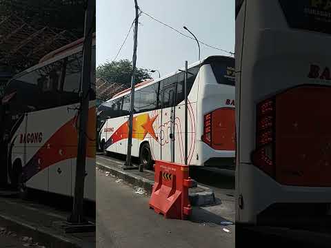 Inilah Alasan Calon Penumpang Bis Memilih Naik di Pintu Keluar Terminal Purabaya Bungurasih Surabaya