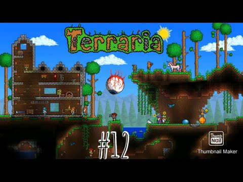 terraria როგორ, არა!!!