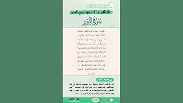 زادك القرآني في شهر ربيع الثاني | سورة النور | من الآية (30) إلى الآية (31) | #القرآن #اكسبلور