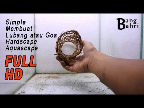 Cara Membuat Gua Aquascape