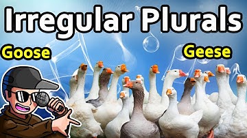 Irregular Plurals: A Rap Song