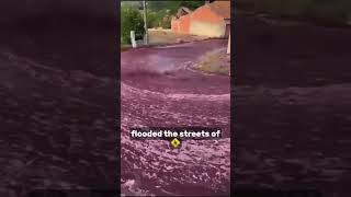 Download Lagu Wine Tragedy in Portugal 🍷🥺🇵🇹 MP3