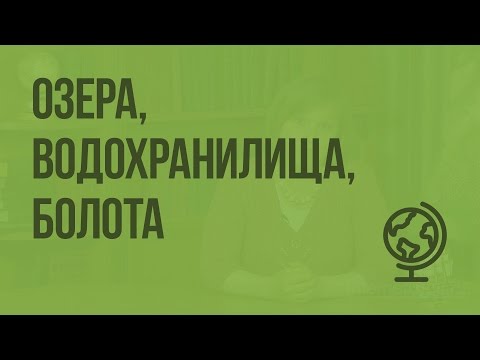 Озера, водохранилища, болота. Видеоурок по географии 8 класс