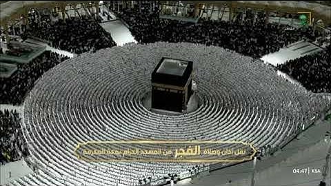 فضيلة الشّيخ .د. ماهر بن حمد المعيقلي 💡|ماتيسر من سورة النساء