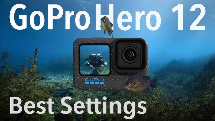 What are the best GoPro Settings? Settings explained: Best settings fo —  GDome