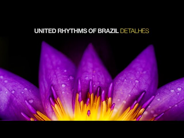 United Rhythms Of Brazil - Detalhes
