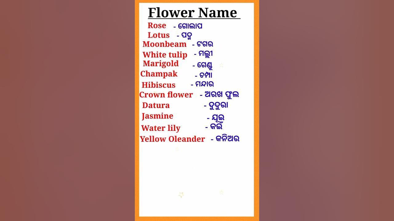 Flower Name Odia to English/ଫୁଲ ର ନାମ ଓଡ଼ିଆ English ରେ/Flowers name